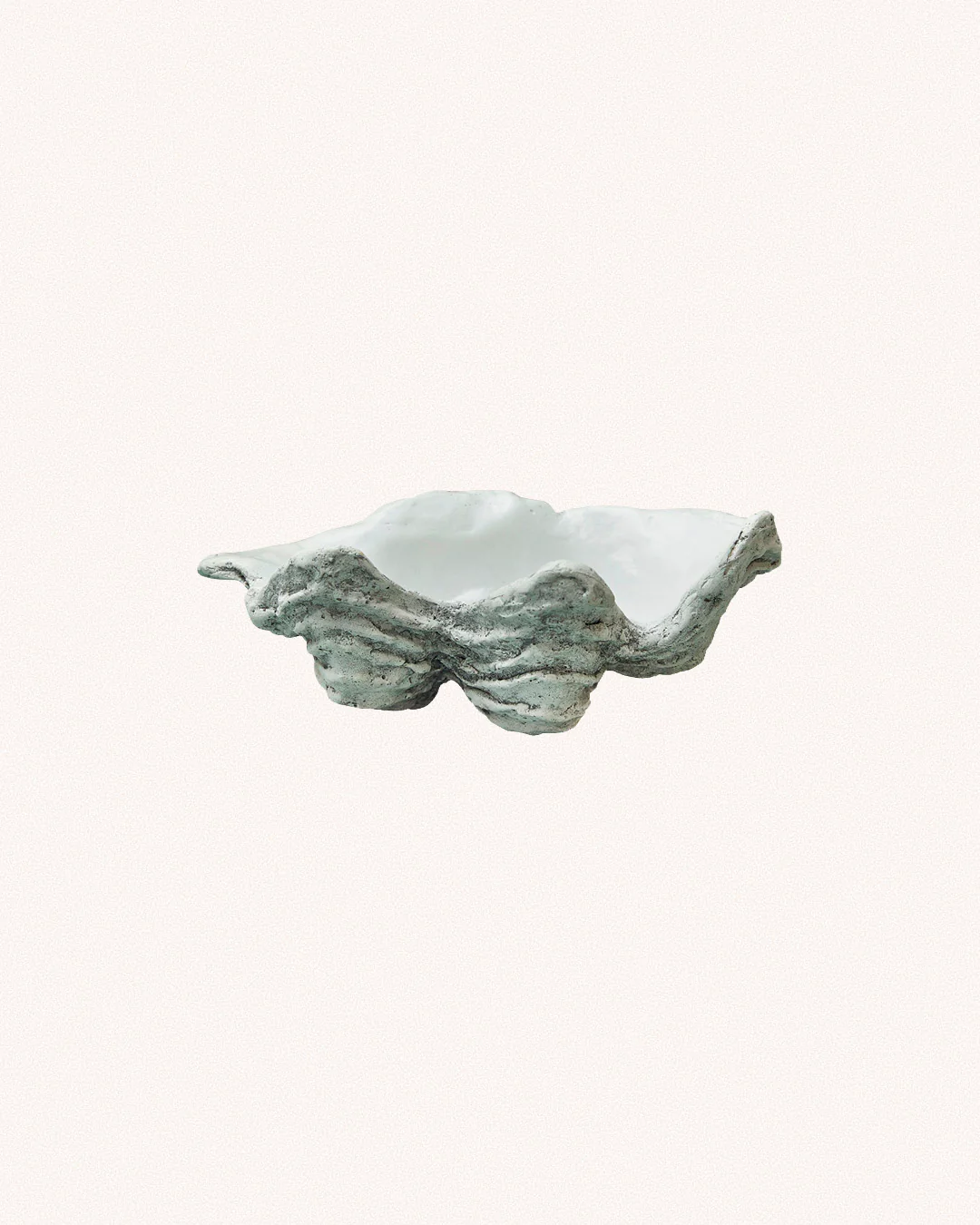 Clam Shell, Small - Image 7