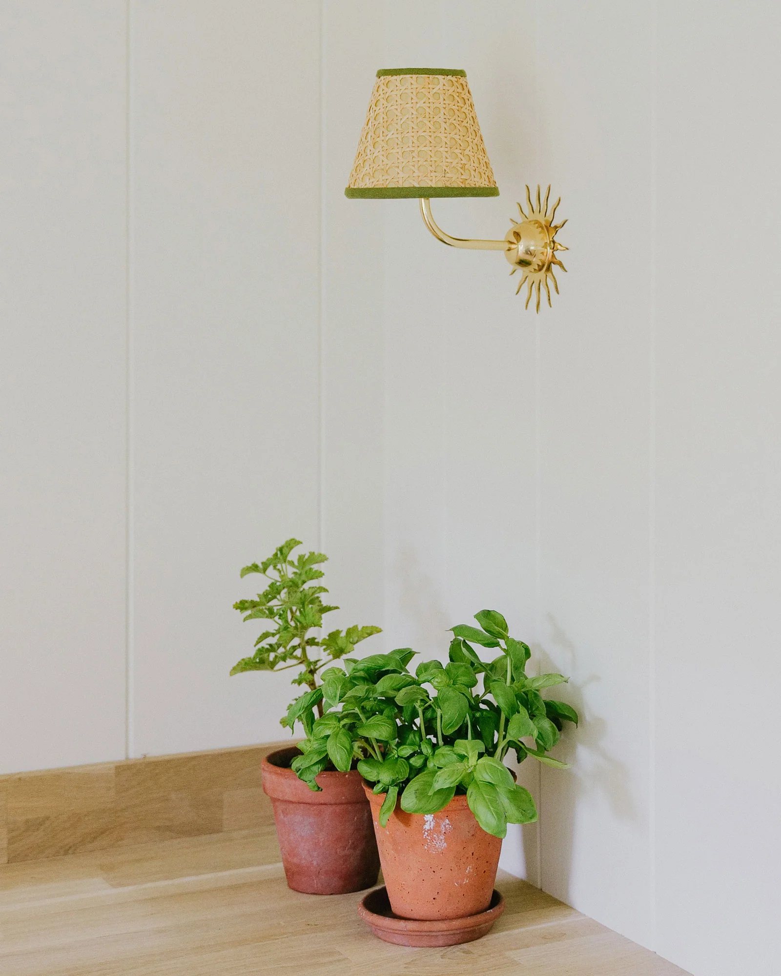 Sunburst Wall Light, Polished Brass - Image 3